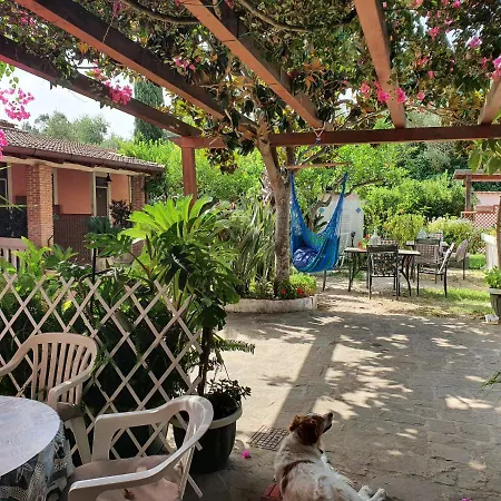 La Capannina Cilento Num 11 San Marco di Castellabate