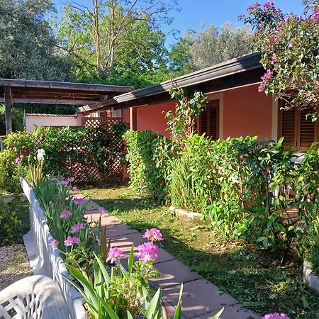 La Capannina Cilento Num 11 Guest house