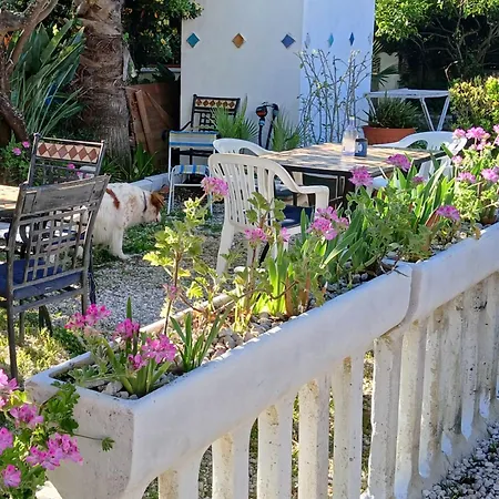 La Capannina Cilento Num 11 Pensión 4*