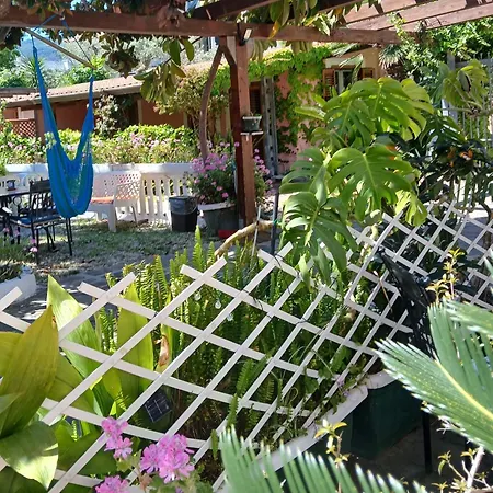 게스트하우스 La Capannina Cilento Num 11 San Marco di Castellabate