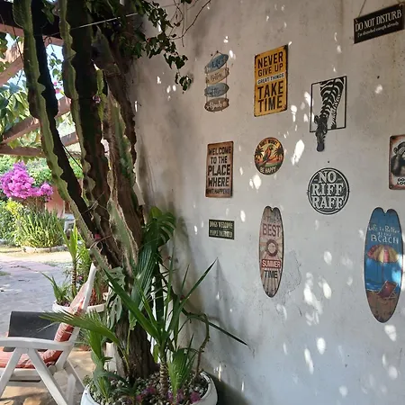 La Capannina Cilento Num 11 San Marco di Castellabate