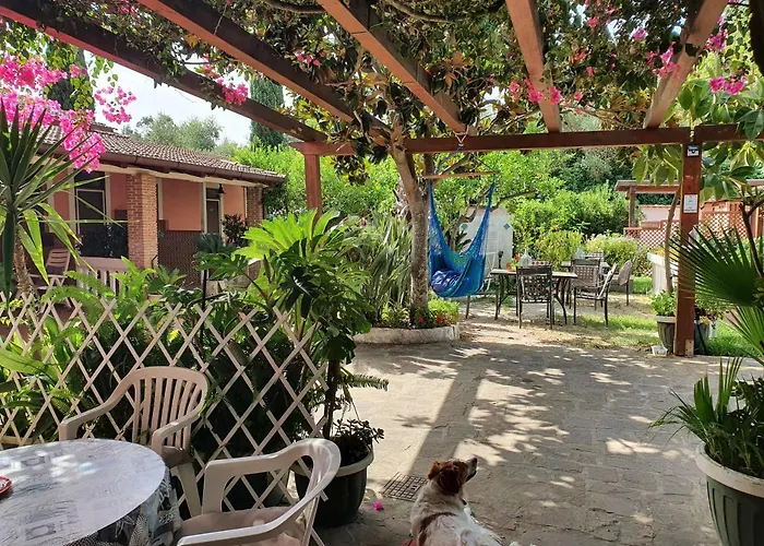 La Capannina Cilento Num 11 San Marco di Castellabate